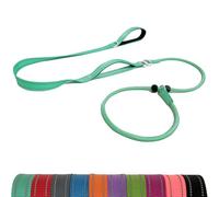 LWBMG Slip Lead Dog Leash with Double Handle,6 FT Heavy Duty Dog Training Leashes, No-Pull Reflective Nylon Slip Leash and Collar for Medium Small Dogs Mint Green