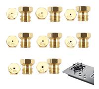 LWLWA 16Pcs Natural Gas Hob Lpg Conversion Kit, 0.5/0.6/0.7/0.75/0.8/0.9/0.95/1.1 mm Nozzle Gas Bottle Nozzle and Injectors for Burner Thread M6 x 0.75 for Propane Burners