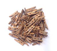 LWR CRAFTS Wooden Mini Clothespins 15 Colors 200 Per Pack 1" 2.5cm (Jacobean)