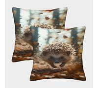 LWXEEOAVE Hedgehog Cushion Cover Set of 2 Decorative Machine Washable Pillowcases Square Pillow Cases with Invisible Zipper Cushion Covers for Sofa Car Bed Outdoor Decor Throw Pillow Case 45x45cm