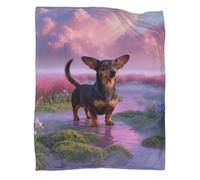 LWXWHR Dachshund Fleece Throw Blanket, Soft Warm Cozy Flannel, Pink Grass Blanket, For Bed, Sofa, And Travel Gifts For Women/Men 80x90inch(200x230cm)
