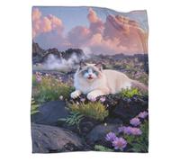 LWXWHR Ragdoll Cat Fleece Throw Blanket, Super Soft & Cosy Flannel, Volcanic Rocks Throw, Versatile Warmth for Any Occasion Creative Gift for Her Or Him 70x80inch(180x200cm)