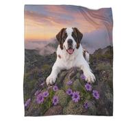 LWXWHR Saint Bernard Fleece Throw Blanket, Soft Warm Cozy Flannel, Rock Flowers Blanket, For Bed, Sofa, And Travel Gifts For Adults/Kids 80x90inch(200x230cm)