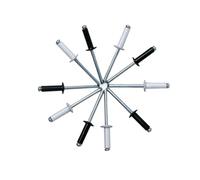 LWYLY 50PCS Black Aluminum Blind Rivets, 4.8 X 16mm Pop Rivets for Metal, White Blind Rivets for Fastening(50Pcs White)