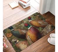LXCNQFN Door Mat Non-Slip Front Doormat Kitchen Rugs for Entryway Pheasants Animals Doormat Indoor Outdoor Welcome Mats Absorbent Entrance Mats for Bedroom Kitchen Porch