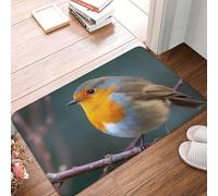 LXCNQFN Door Mat Non-Slip Front Doormat Kitchen Rugs for Entryway Robin on Branch Doormat Indoor Outdoor Welcome Mats Absorbent Entrance Mats for Bedroom Kitchen Porch