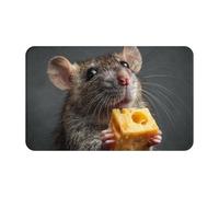 LXCNQFN Door Mat Non-Slip Welcome Mats Washable Kitchen Rug Rat Eats Cheese Doormat Outdoor Indoor Small Rugs for Entryway Low-Profile Front Door Mat for Bedroom Porch