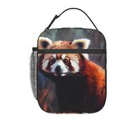 LXCNQFN Insulation Lunch Bag Reusable Lunch Box Little Raccoon in The Forest Lunch Tote Bags Portable Cooler Bag for Work