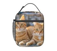 LXCNQFN Insulation Lunch Bag Reusable Lunch Box Orange Cats Lunch Tote Bags Portable Cooler Bag for Work