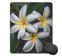 LXCNQFN Mouse Pad Waterproof Gaming Mouse Mat with Non-Slip Base White Plumeria Mouse Pad for Laptop Ultra-Smooth Keyboard Mat Desk Pads Computer Mouse Mat for Office Home