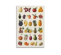 LXDSTK Minimalist Abstract Canvas Wall Art Prints Picture - Vintage Fruit Poster - Assorted Fresh Fruits Illustration Wall Decor Artwork Posters 24x36inch(60x90cm)