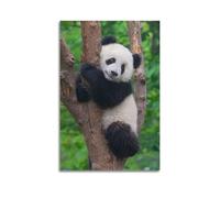 LXDSTK Poster Unframe Canvas Wall Art Prints for Room Decor - Animal Tree Trunk Hugging Climbing Panda 16x24inch(40x60cm) Picture Unframe Artwork