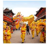 LXHELIVERY Lion Dance Chinese Silk Dragon Dance Wu Long 3D Colorful Dragon Dance Outdoor Dragon Fitness Ribbon For New Year Street Performance, Christmas Parade(18M/59FT)