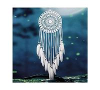 LXINMFEWY Beautiful White Dream Catcher Feather Weaving Wall Hanging Home Living Room Adult Kids Bedroom Decor Handmade
