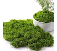 Lxoraziy 150g Artificial Moss for Plant Pots, Preserved Moss Decorative, Fake Green Lichen Plants, for Floral Arrangements, Crafting, Dark Green
