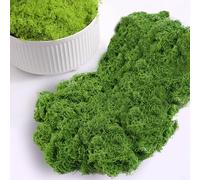 Lxoraziy 200g Artificial Moss for Plant Pots, Preserved Moss Decorative, Fake Green Lichen Plants, for Floral Arrangements, Crafting, Dark Green