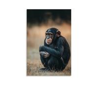 LXPPLSYY A Chimp Crouches in Thought on A Powder-blue Field, The Quiet Genius of Nature Resting in A Single Posture. Wall Art Mural Modern Decoration Hanging Art Poster 20x30inch(50x75cm)