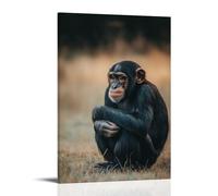 LXPPLSYY A Chimp Crouches in Thought on A Powder-blue Field, The Quiet Genius of Nature Resting in A Single Posture. Wall Art Mural Modern Decoration Hanging Art Poster 12x18inch(30x45cm)