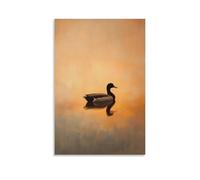 LXPPLSYY A Duck Gliding Calmly on Unseen Waters, Feathers Reflecting Soft Evening Tones over A Dusty Orange Sky. Wall Art Mural Modern Decoration Hanging Art Poster 08x12inch(20x30cm)