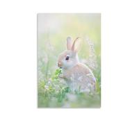 LXPPLSYY A Gentle Bunny Nibbling Clover on A Soft Pastel Green Field, Innocence Framed Against A Tender Spring Breeze. Wall Art Mural Modern Decoration Hanging Art Poster 20x30inch(50x75cm)