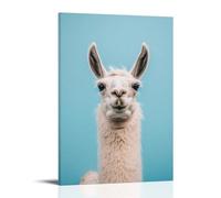 LXPPLSYY A Llama Looking Annoyed While Waiting Outside The Toilet, Solid Blue Background Wall Art Mural Modern Decoration Hanging Art Poster 24x36inch(60x90cm)