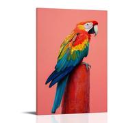 LXPPLSYY A Parrot Perches on A Coral Backdrop, Its Vivid Plumage Contrasting Sharply with The Solid Color Field. Wall Art Mural Modern Decoration Hanging Art Poster 24x36inch(60x90cm)
