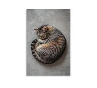 LXPPLSYY A Sleepy Tabby Cat Curled Into A Perfect Circle on Soft Grey Background Wall Art Mural Modern Decoration Hanging Art Poster 12x18inch(30x45cm)