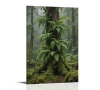 LXPPLSYY Temperate Rainforest Scenic Fern Cover Wall Art Mural Modern Decoration Hanging Art Poster 24x36inch(60x90cm)