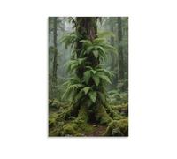 LXPPLSYY Temperate Rainforest Scenic Fern Cover Wall Art Mural Modern Decoration Hanging Art Poster 12x18inch(30x45cm)