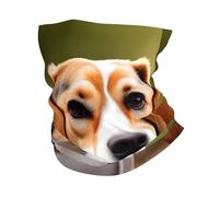 LXqlSS Beagle Dog print Neck Gaiter Face Mask,Sun Cooling Scarf,Balaclava Bandana Cover for Men Women