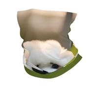 LXqlSS Bichon Frise Dog on the grass print Neck Gaiter Face Mask,Sun Cooling Scarf,Balaclava Bandana Cover for Men Women