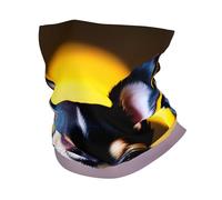 LXqlSS Chihuahua Dog print Neck Gaiter Face Mask,Sun Cooling Scarf,Balaclava Bandana Cover for Men Women