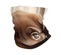 LXqlSS cute Labrador Dog 1 print Neck Gaiter Face Mask,Sun Cooling Scarf,Balaclava Bandana Cover for Men Women