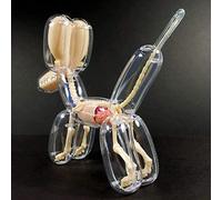 Lxwyq Balloon Dog Bone Perspective Anatomical Model, 4D Creative Home Decoration Decor Sculpture Statue Figure for Medical Education Traning Aid, Puzzle Assembling Toy