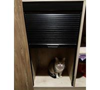 LXXW Tambour Door Kit Concertina Door Kitchen Tambour Folding Doors，Flexible Pull Down Sliding Cabinet Cat Proof(40x60cm/16x24in)