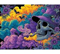 Lyaauulg Paint by Numbers Kits for Adults & Kids, DIY Abstract Skeleton Acrylic Oil Painting Set on Canvas with Brushes, Easy Relaxing Art Craft for Beginners, Home Wall Decor Hobby 20x28inch A110
