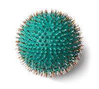 Lyapko Acupuncture Hand Foot Massage Green Needle Ball 4.0 Ag Premium Active Massager Unisex Spiked Ball Unique Therapy Device Massage Ball Hedgehog Ball Acupressure Balls for Stress Relief Relaxation