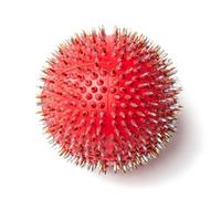 Lyapko Acupuncture Hand Foot Massage Red Needle Ball 4.0 Ag Premium Active Massager Unisex Spiked Ball Unique Therapy Device Massage Ball Hedgehog Ball Acupressure Balls for Stress Relief Relaxation