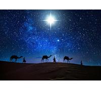LYCGS 10x8ft Merry Christmas Jesus Backdrop Nativity Christmas Star Night Star of Bethlehem Over Desert Birth of Jesus Background Camels and Travelers Banner X-467