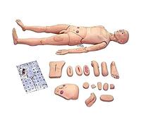 LYDBMYT Human Nursing Manikin Male and Female Multi-Functional Patient Care Simulator for Study Display Teaching Medical Model