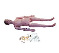 LYDBMYT Life Size Demonstration Human Manikin PVC Medical Training Teaching Manikin Model for Teaching at School of Nursing Medicine, Male