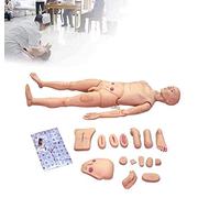 LYDBMYT Male and Female Mannequin for Nursing Training Model Anatomical Human for The Nursing Medical Training 170Cm