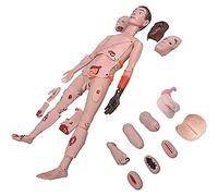 LYDBMYT Model Multi Functional Trauma Professional Care Manikin Life Size Anatomical Human Model Patient Care Simulator Training Manikin for Nursing Medical Training