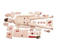 LYDBMYT Model Professional Multi Functional Care Trauma Manikin Training Anatomical Human Model Advanced Training Manikin Model Demonstration Manikin for Men and Women Life-Size Nursing Model