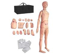 LYDBMYT Nursing Training Manikin Patient Care Skills Mannequin 170cm Life Size Demonstration Human Manikin PVC Anatomical Mannequin(Male)