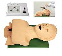 LYDBMYT Teaching Model,Oral Nasal Manikin, Training Teaching Model Electronic Human Tracheal Model, Professional Nurse Lab Airway Management Trainer Demo PV