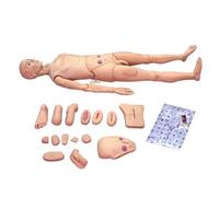 LYDBMYT Teaching Tools,Multi-Functional Human Anatomical Nursing Skills Training Manikin, Dummy Patient Care Life Size Full Body Mannequin for Medical Science Teaching Tool, PVC