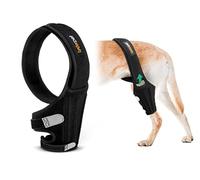 Lyderpet Dog Knee Brace for Torn ACL Hind Leg, Rear Leg Braces for Dogs Luxating Patella, Metal Spring Strong Support and Flexible Joint Care, Easy to Put On and Off Dog Braces for Back Leg (XXL)