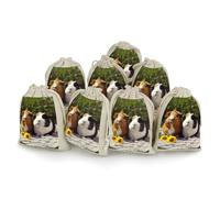 LYDSKGEQ 8Pcs Cotton Drawstring Bags, Reusable Guinea Pigs Funny Sachet Bag Empty, Burlap Bags with Drawstring, Muslin Bag Bulk, Jewelry Gift Pouch for Party Wedding Home Storage (5x7 Inch)