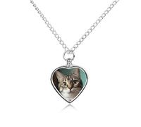 LYDSKGEQ Curious Cat Urn Necklaces for Ashes Personalized Human Pet Cremation Jewelry Customized Keepsake Locket Pendant with Filling Kit Memorial Gift for Dog Cat Lover Women Men(Heart)